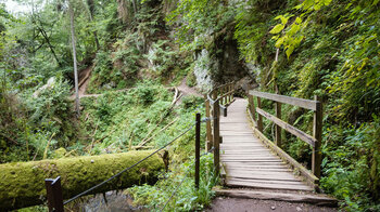 Wanderweg über Holzsteg in der Lotenbachklamm