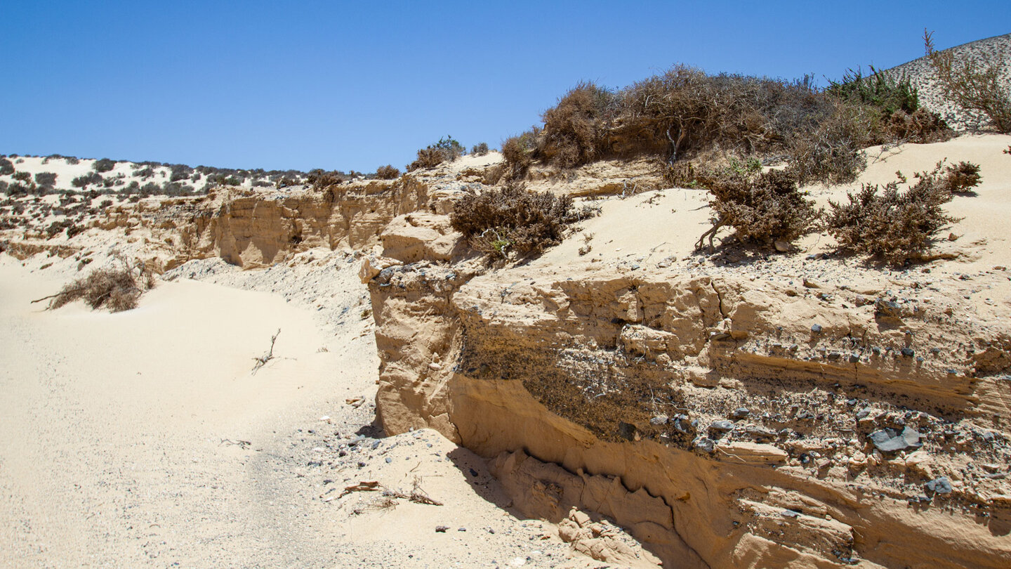 Wanderung durch die Schlucht Barranco del Rinconcillo