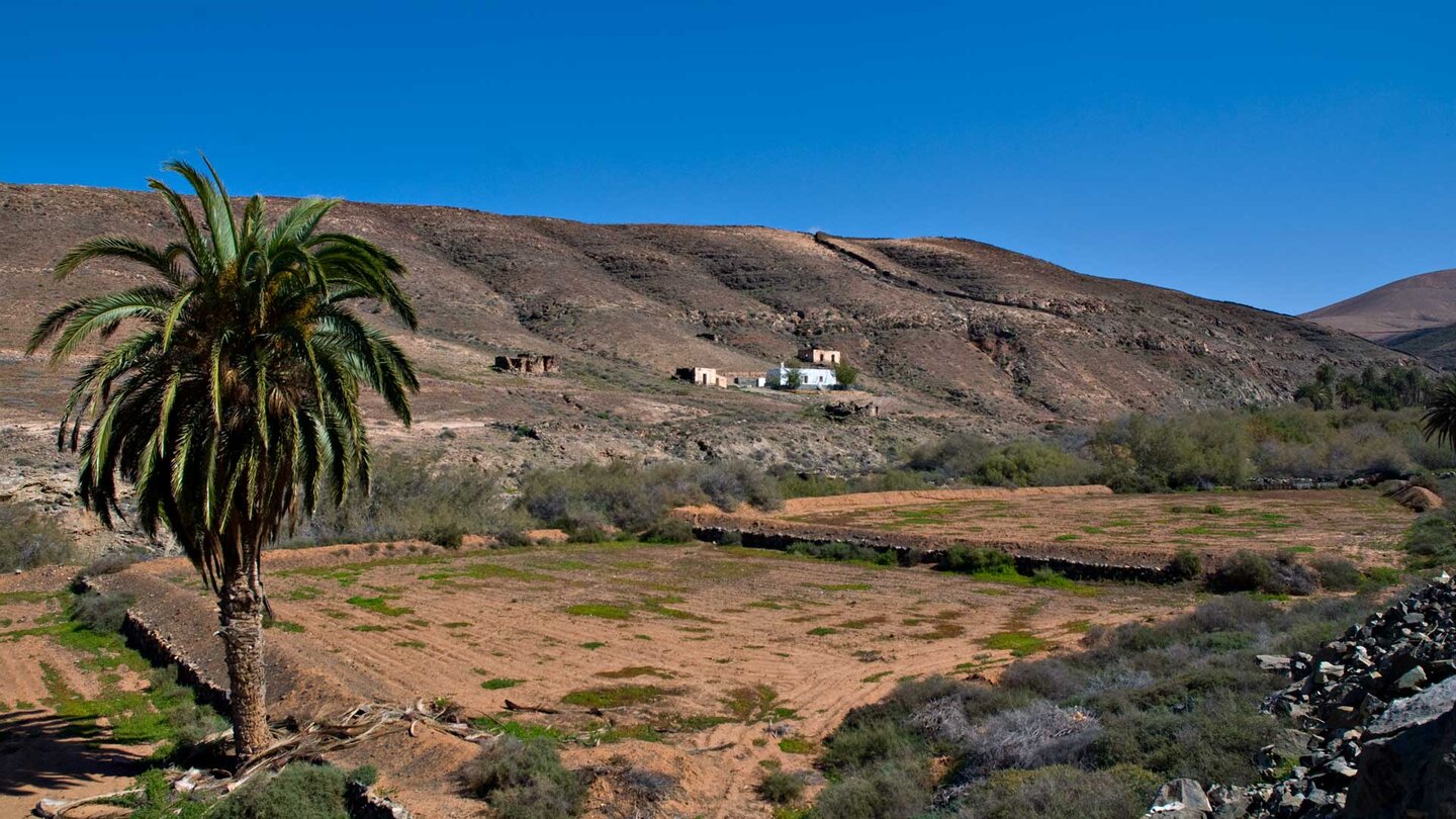 Wanderung durch den Barranco de Betancuria