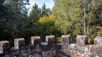 der Blick vom Wasenkoepfel-Turm