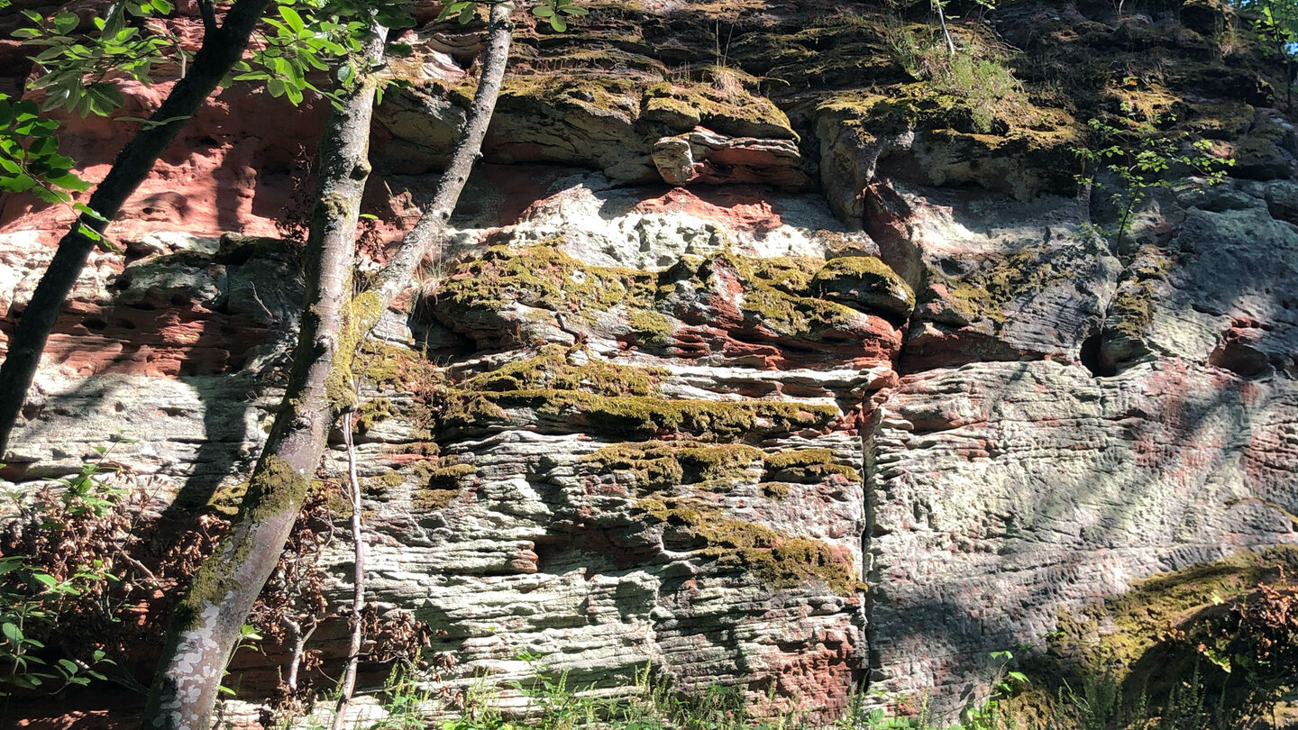 der Burgfels der Ruine des Wittschlössel