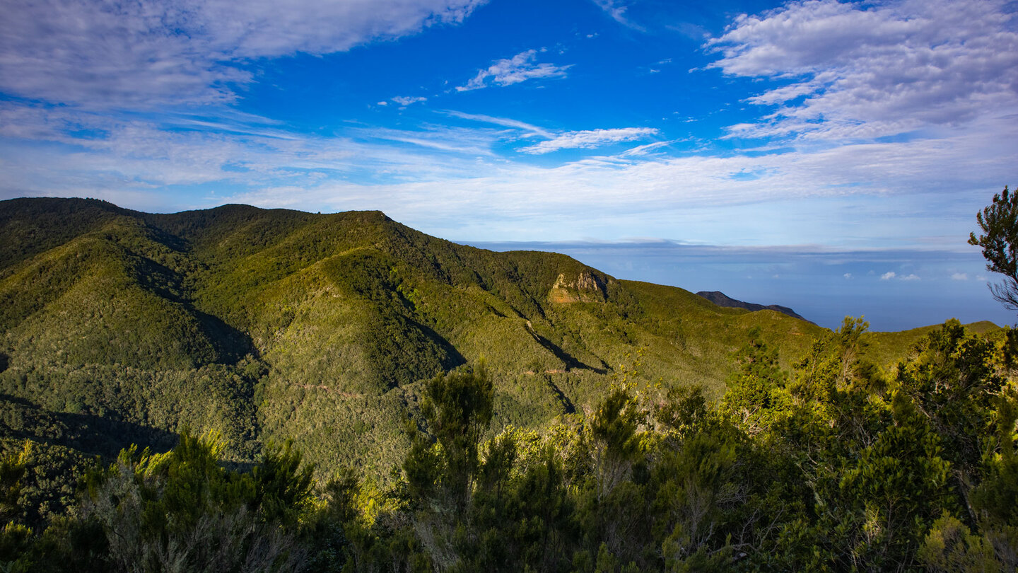 Aussichtspunkt mit Blick auf den immergrünen Monteverde