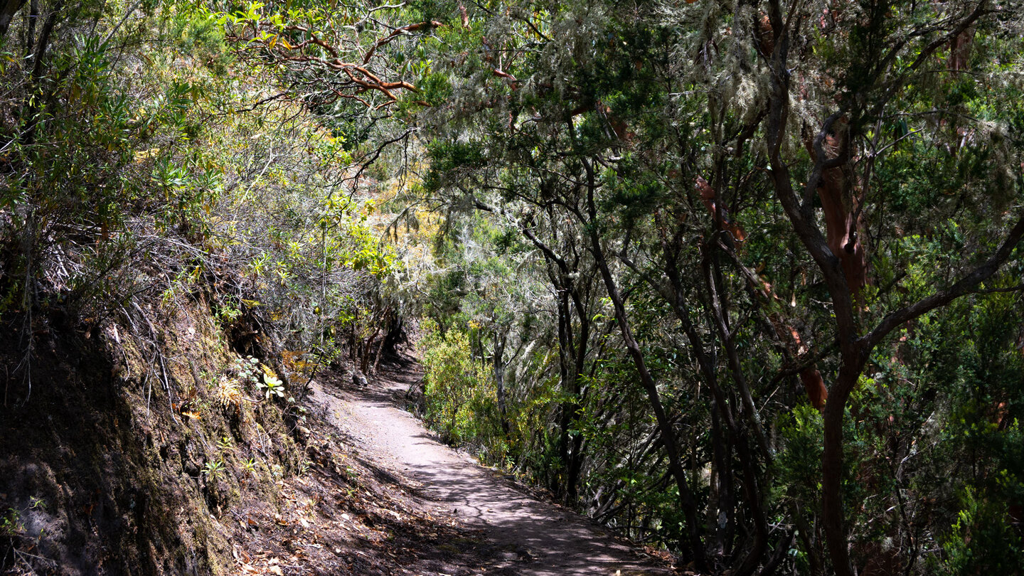 der idyllische Wanderweg PR TF-54