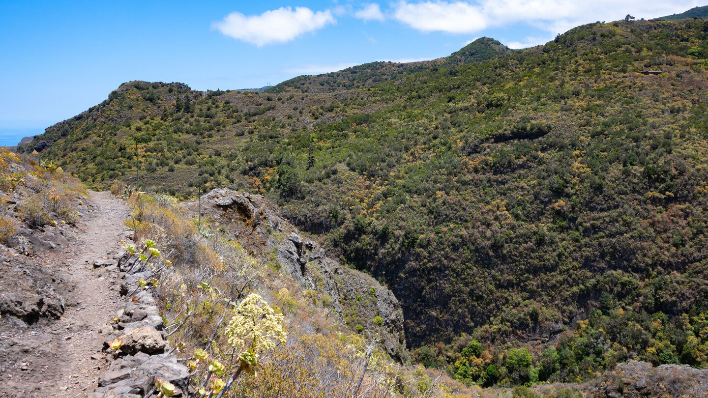 traumhafter Wanderpfad über der Schlucht Barranco de los Cochinos