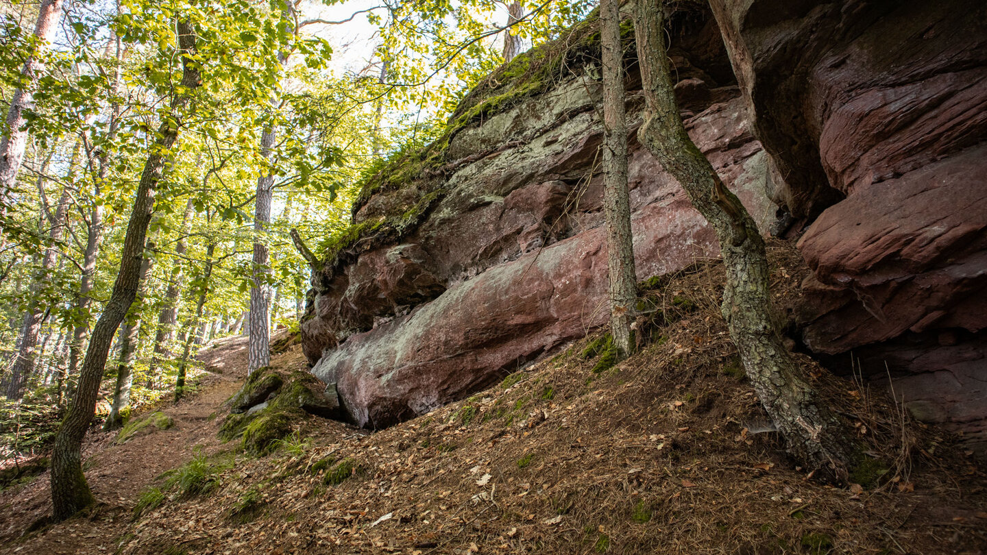 Wanderroute auf den Höhenrücken des Hochstein-Massivs