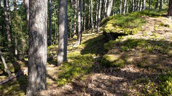 Wanderung entlang des grünen Höhenrückens auf dem Hochstein