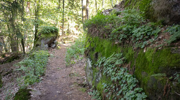 bemooste Findlinge am Wanderweg