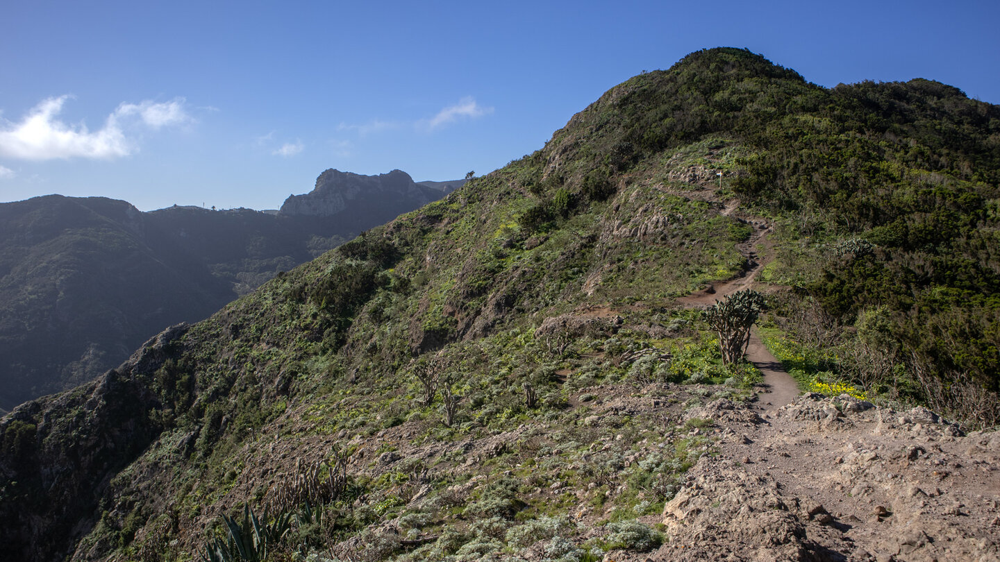 Wanderweg entlang des Höhenkamms im Anaga