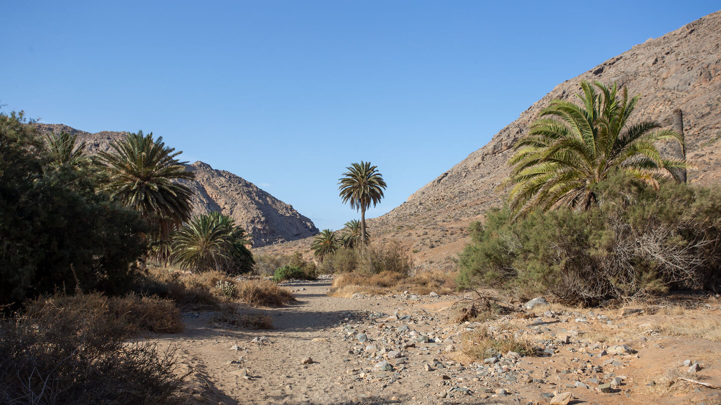 breiter Wanderweg im Barranco de las Peñitas bei Vego de Río Palmas