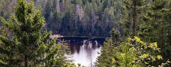 Wildseeblick ist ein Tiefblick auf den Karsee