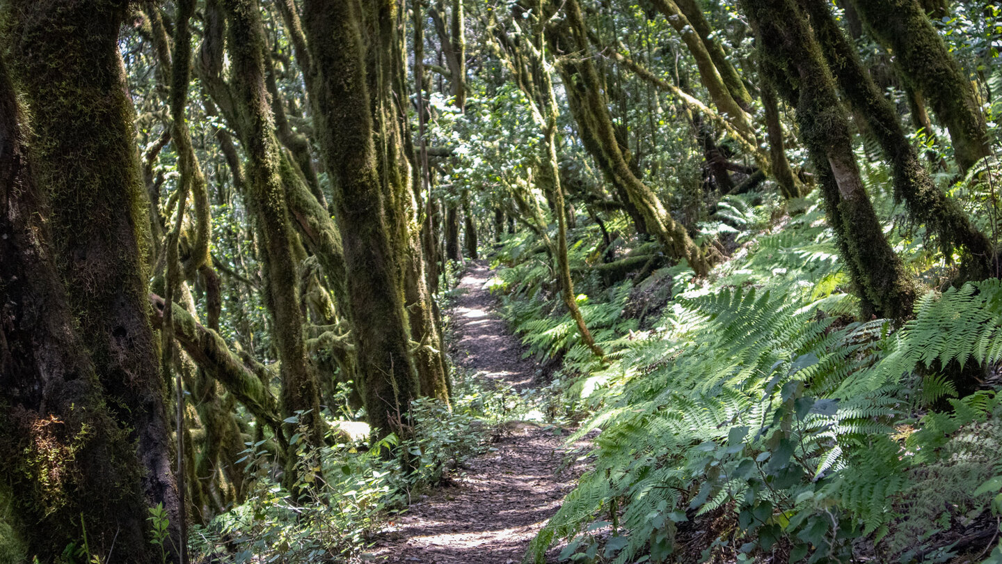 Ruta 12 Risquillo de Corgo