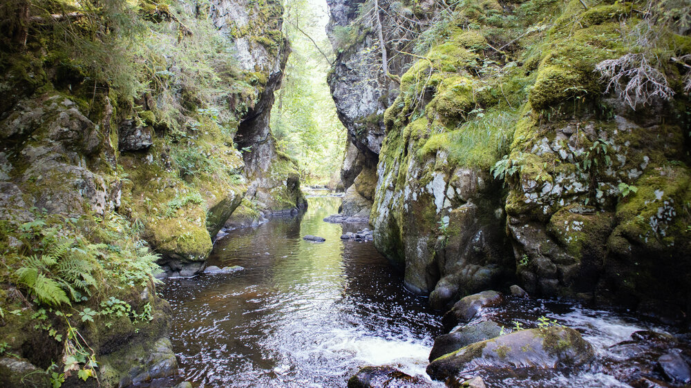 Die Engstelle in der Haslachschlucht im Südschwarzwald