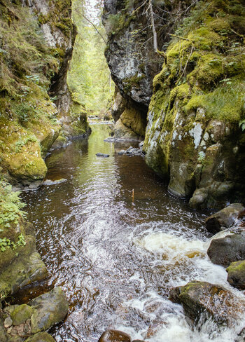 Felsdurchbruch der Haslachschlucht nahe der Wutach