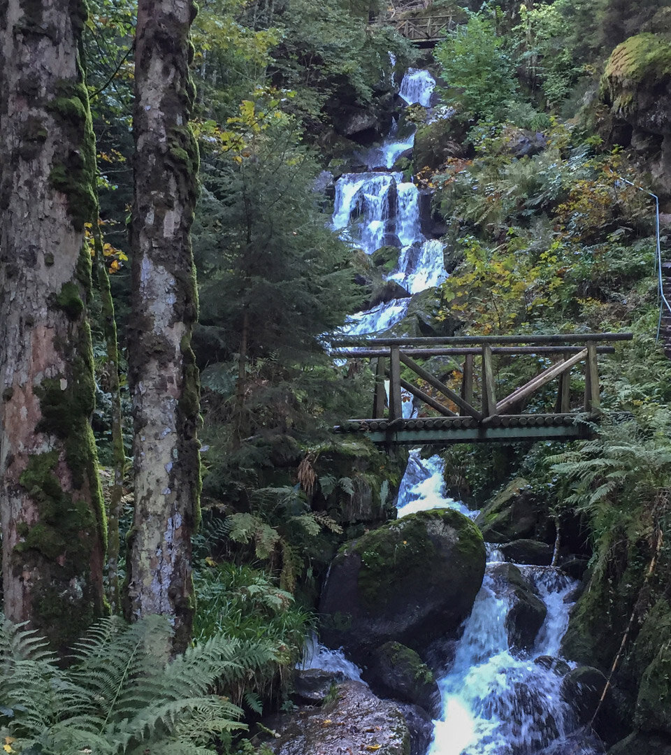 Gertelbach-Wasserfälle im Bühler Tal