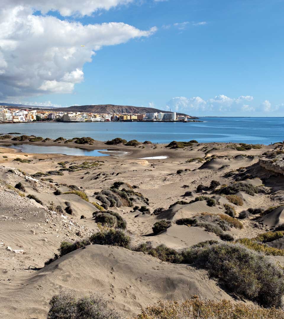 die Dünenlandschaft bei El Médano