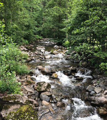 der idyllische Verlauf der Wilden Gutach