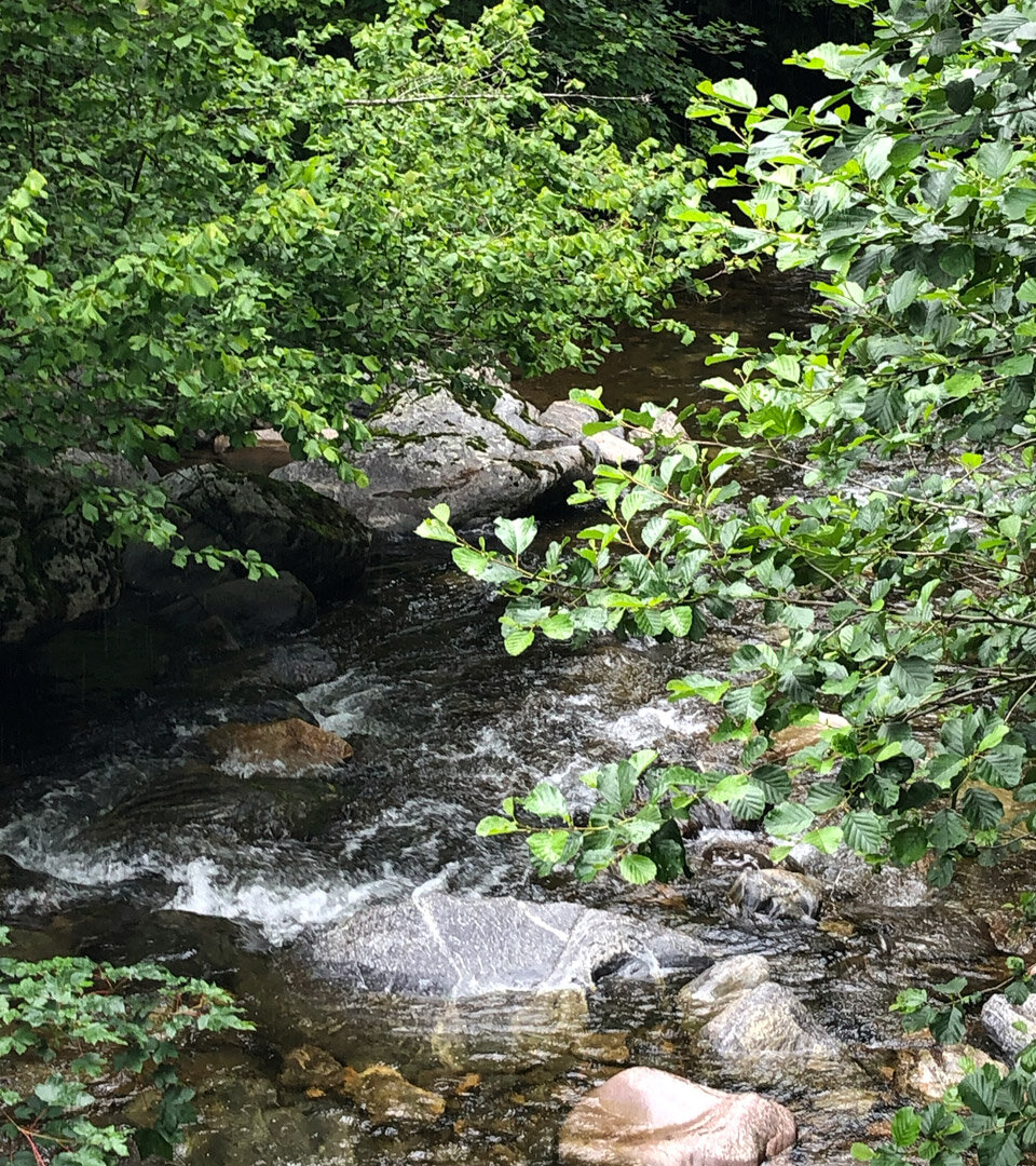 Felsen im Flussbett der Wilden Gutach