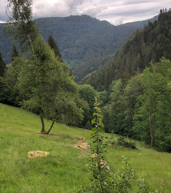 idyllisches Plätzchen am Wanderrastplatz des ehemaligen Brunnenhofs