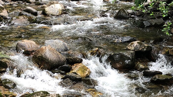 reißendes Wasser an der Wilden Gutach