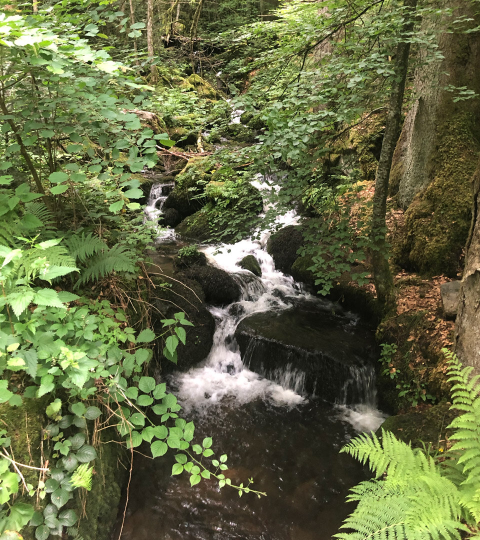 über Felsen sprudeln die Kaskaden bei den Zweribachwasserfällen