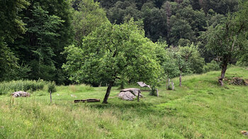 Umgebung am Wanderrastplatz des ehemaligen Brunnenhofs