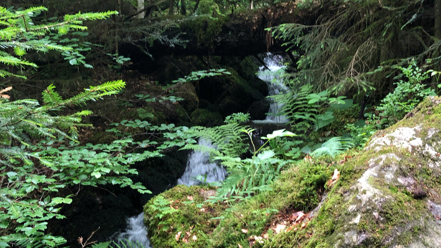 wild verlaufender Abschnitt der Zweribachwasserfälle