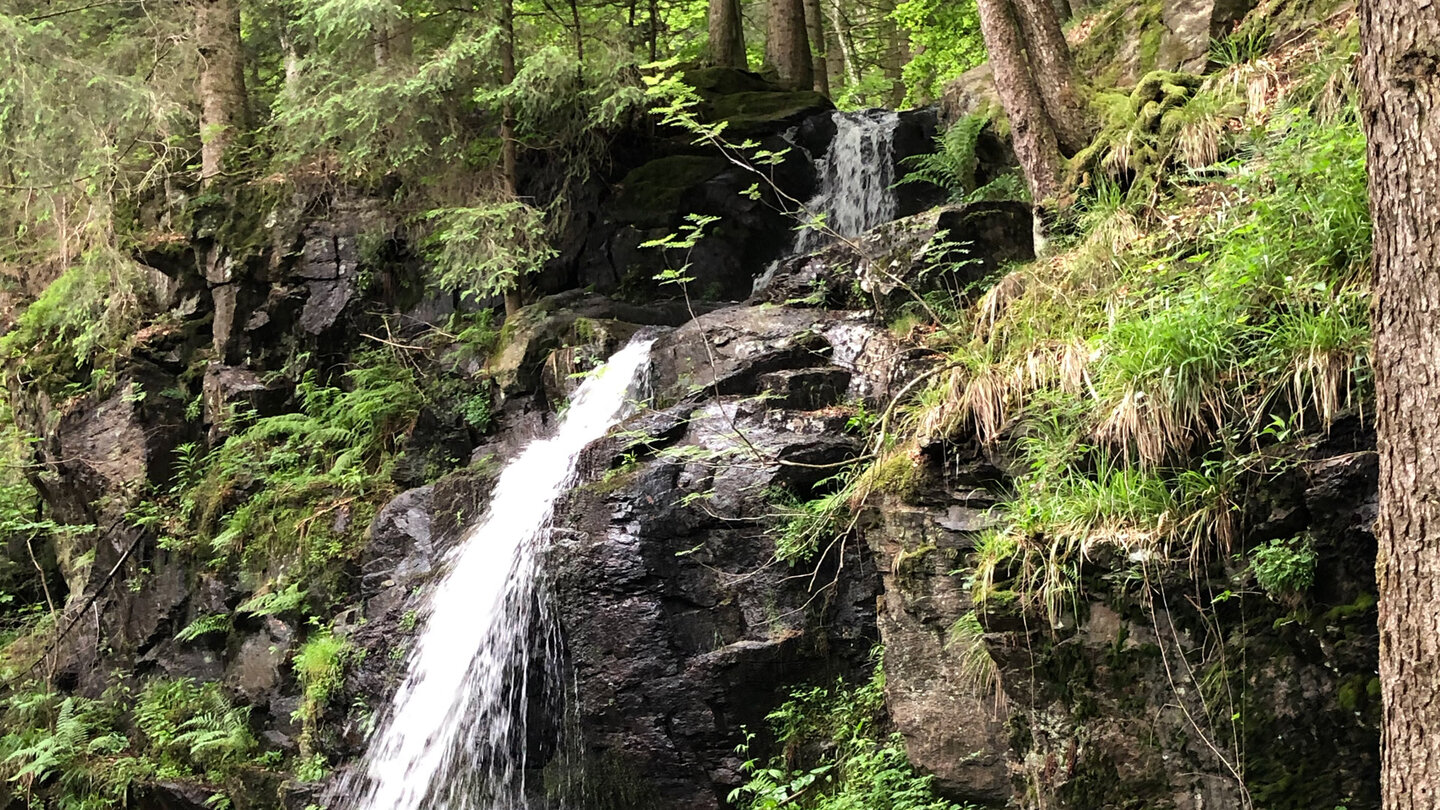 wilde Natur rund um die Zweribachwasserfälle