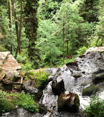 tiefe Einblicke von den Felsen der Zweribachwasserfälle