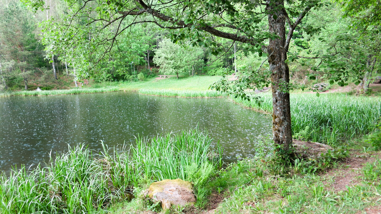 der Sankenbachsee