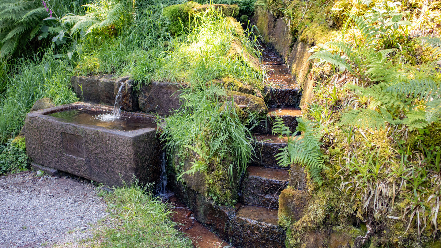 Brunnen am Seehaldenweg