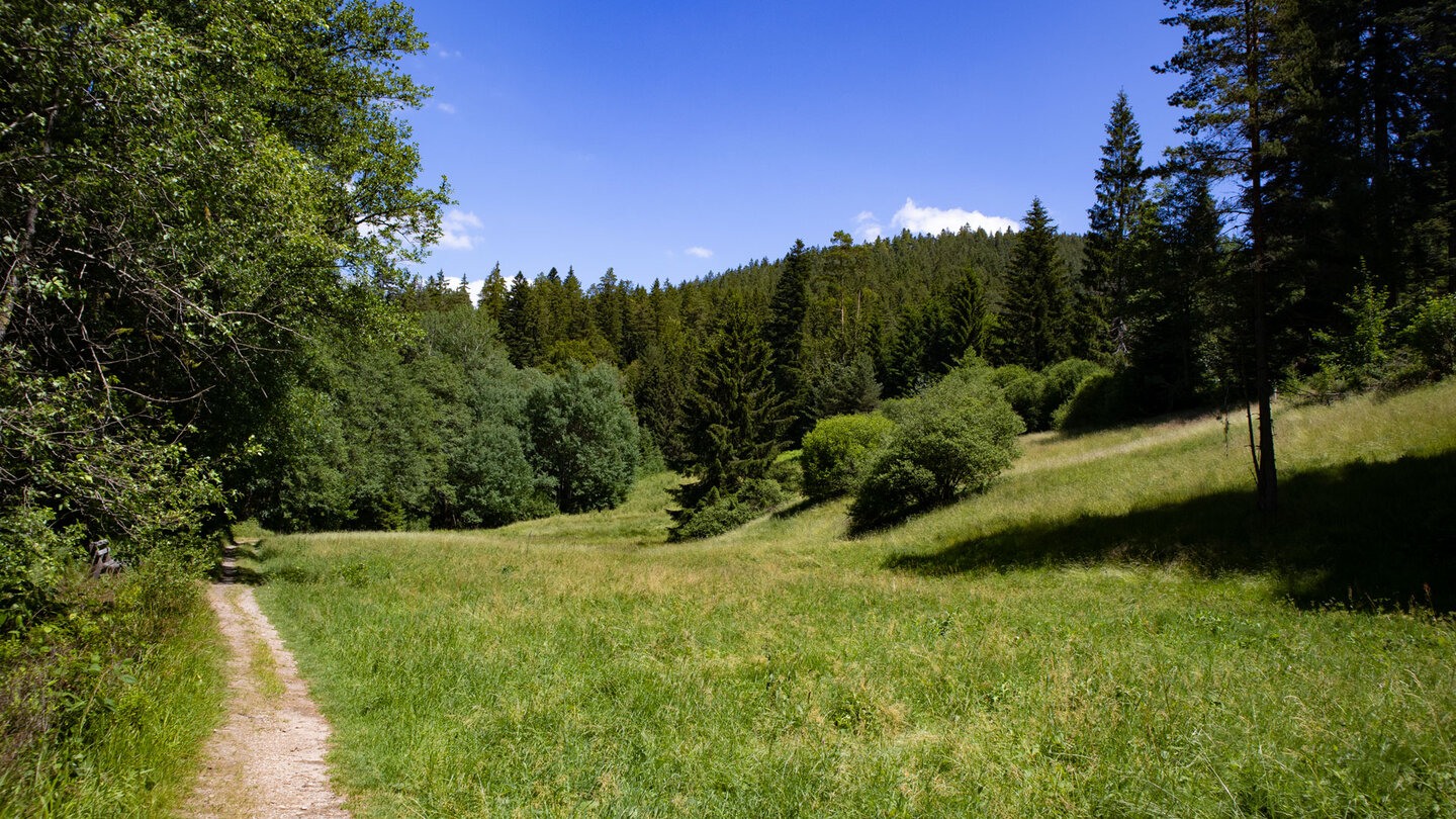 Wiesenwanderweg am Guten Ellbach