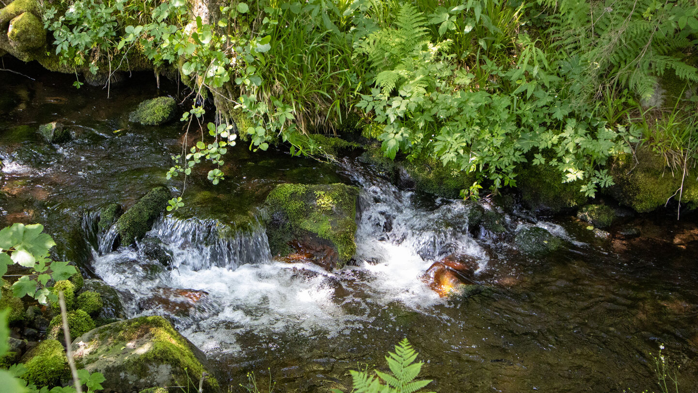 sprudelnder Bachlauf des Guten Ellbach