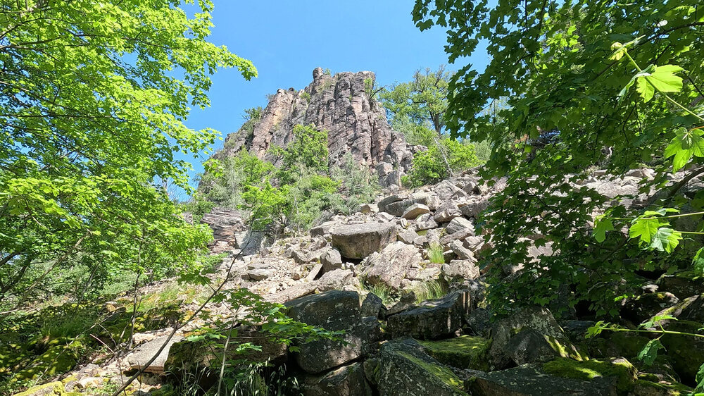 Die Badener Wand steht unter Naturschutz