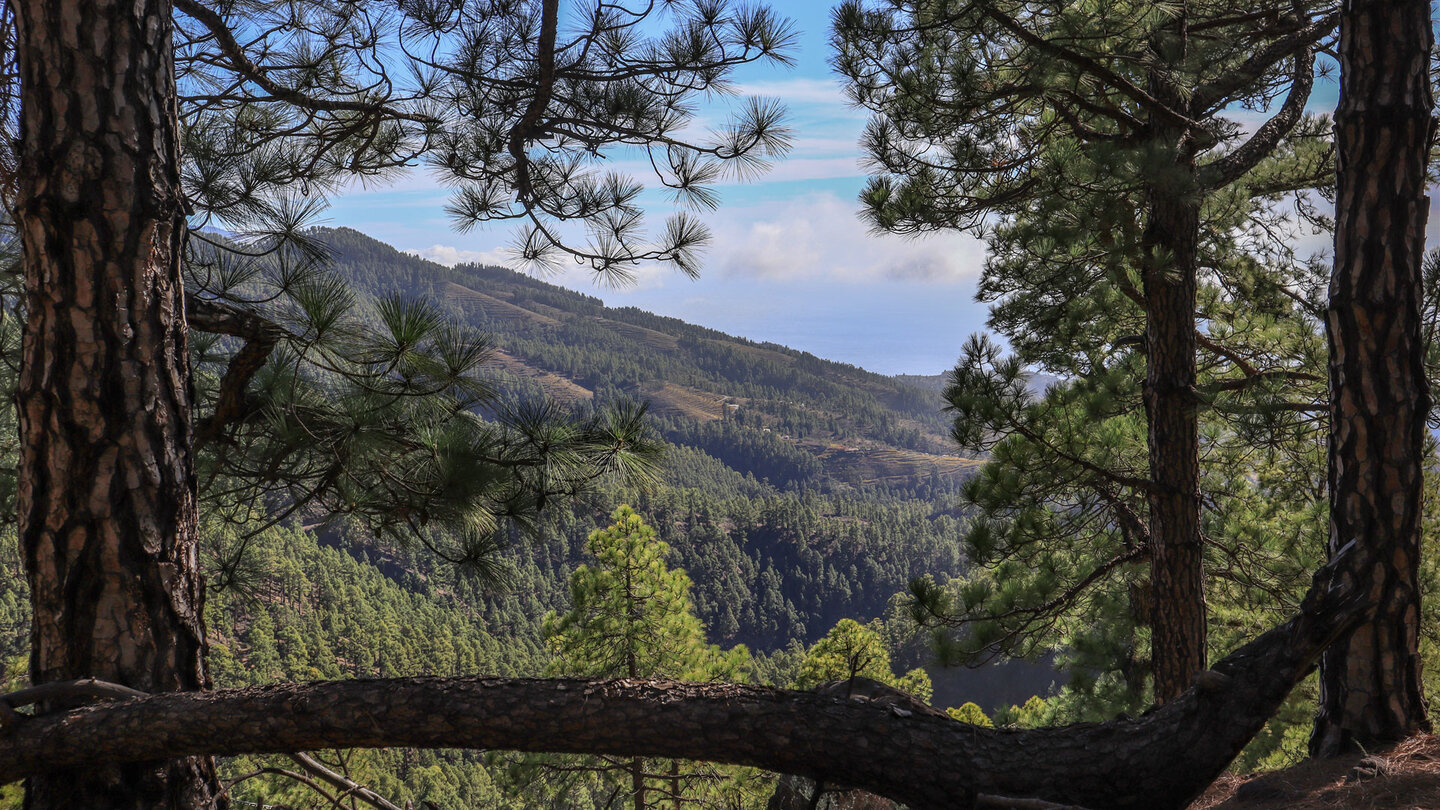 Blick über die Berghänge im Westen der Insel La Palma