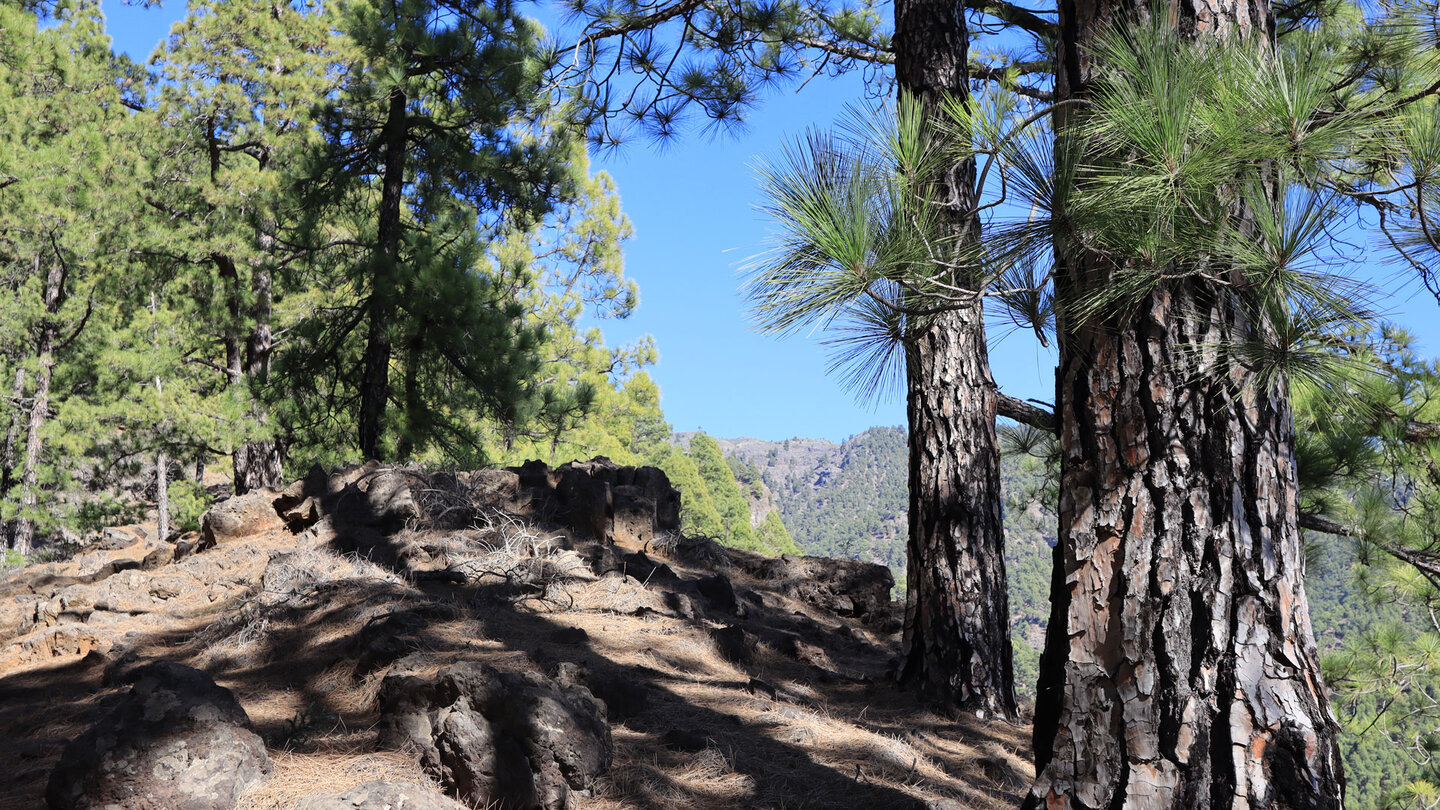 der Wanderweg oberhalb der Schlucht Barranco de Jieque