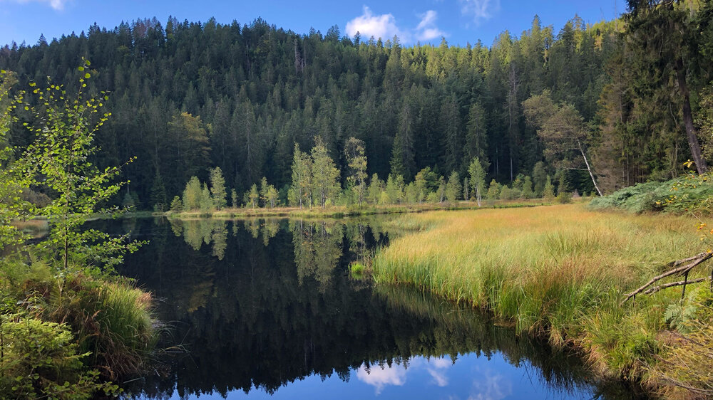 Blick über den Buhlbachsee mit Spiegelung