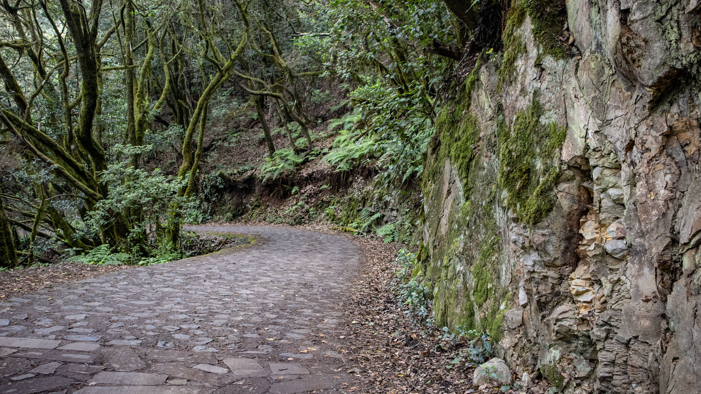 der gepflasterte Wanderweg Reventón Oscuro