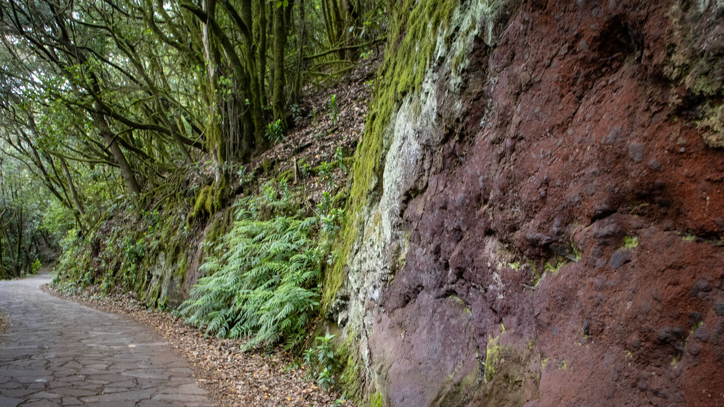 rötliches Gestein entlang der Wanderung Reventón Oscuro