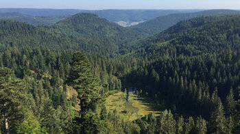 Aussicht vom Seeblick auf den Ellbachsee