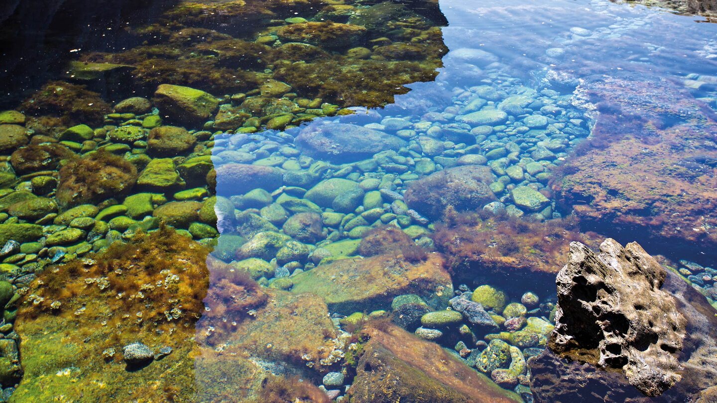 grün schimmerndes Wasser im Becken des Charco de la Laja auf El Hierro bildet einen Kontrast zu den grauen Basaltklippen