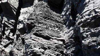 Erosionsspuren am Gestein finden sich an den umliegenden Felsen am Charco de la Laja auf El Hierro