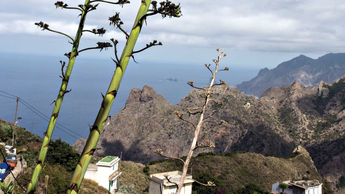 Blick von Taborno entlang der Nordküste des Anaga-Massivs