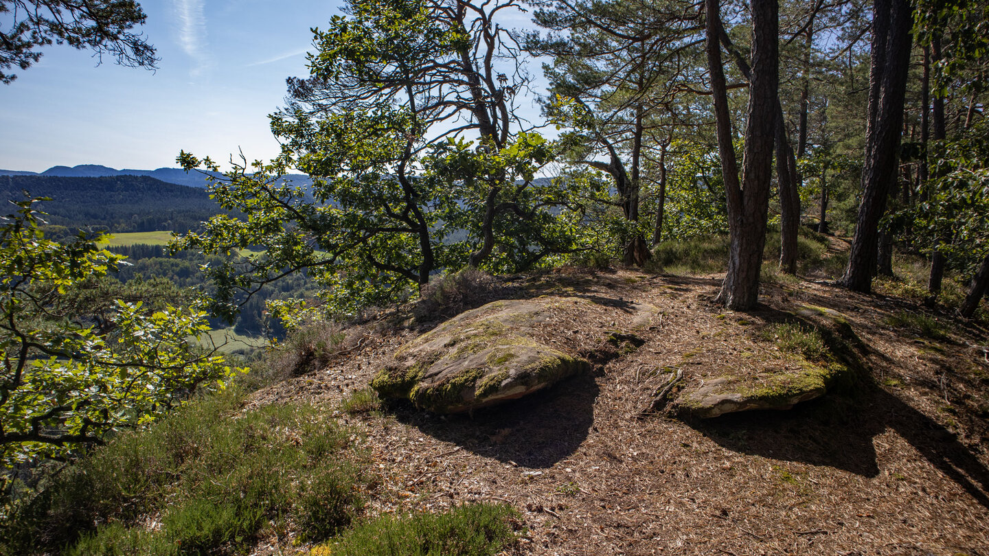 Wanderpfad auf dem Höhenrücken des Hochstein