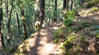 idyllischer Wanderweg Richtung Schützenfels