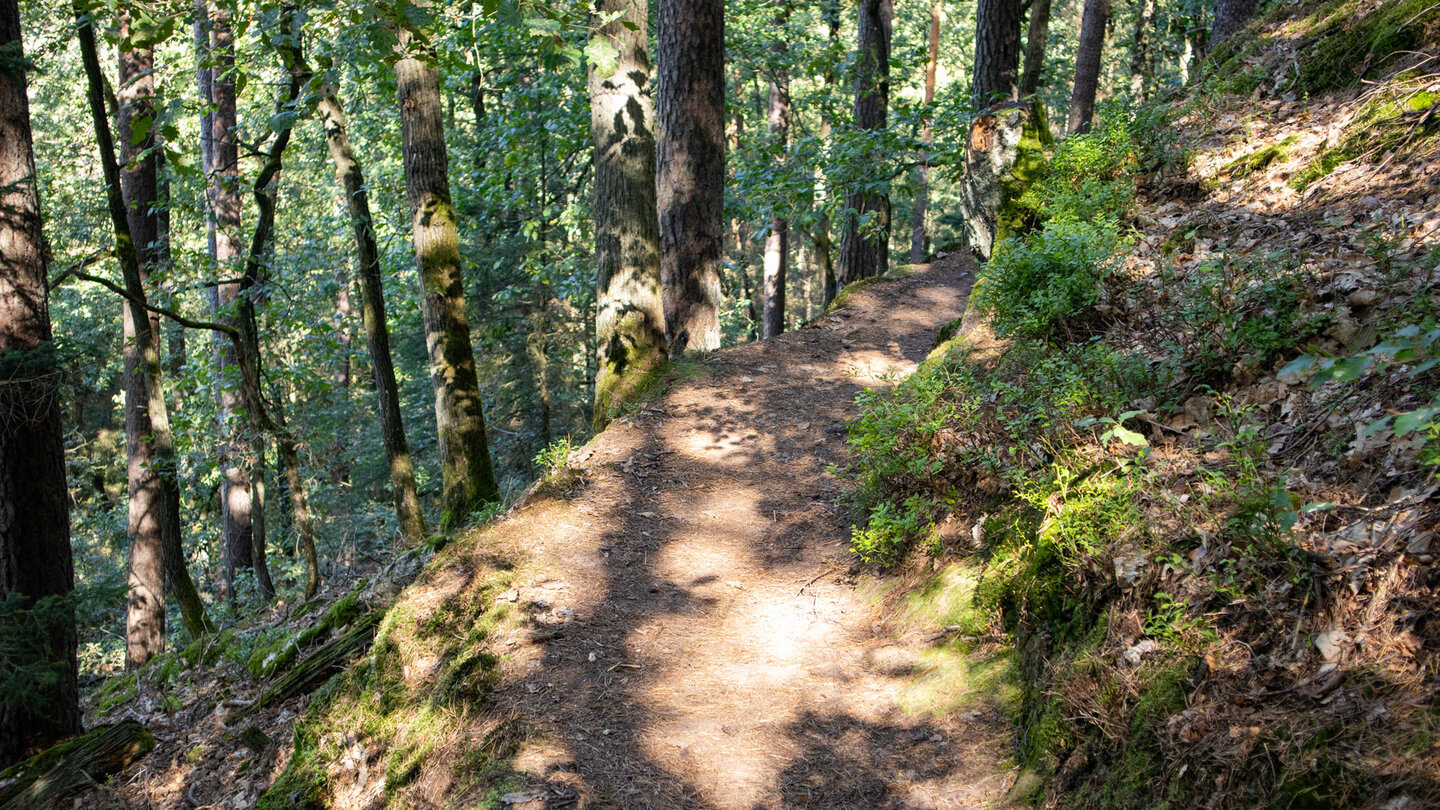 idyllischer Wanderweg entlang des Westlichen Schützenfels