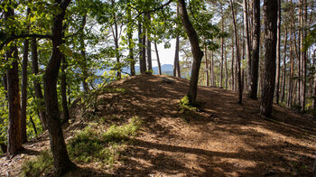 der Wanderweg am Lachberg