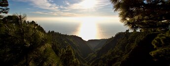 Abendlicher Ausblick über die dicht bewachsene Schlucht vom Mirador Barranco de Garome auf La Palma