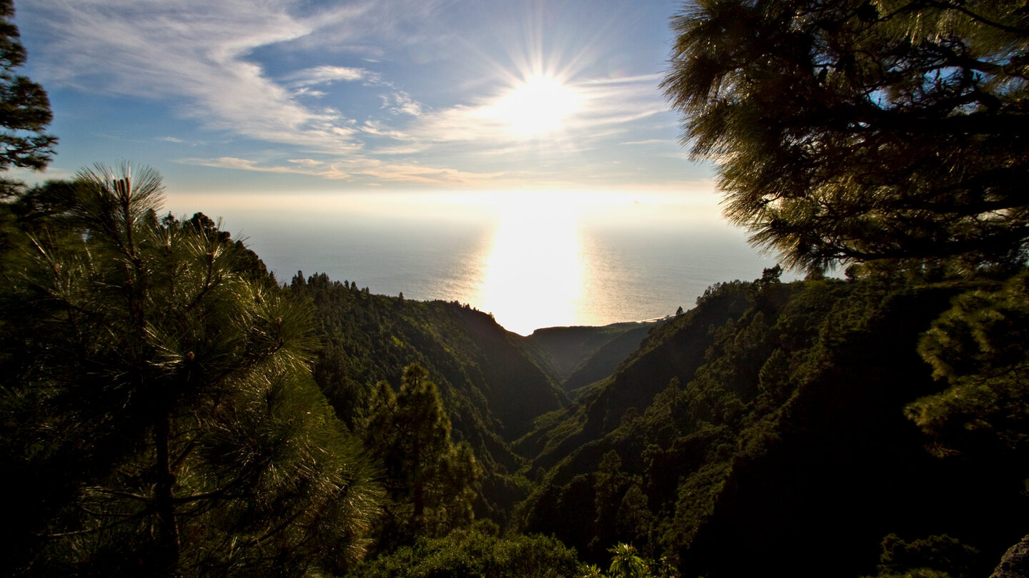 Abendlicher Ausblick über die dicht bewachsene Schlucht vom Mirador Barranco de Garome auf La Palma