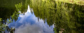 der Sandsee im Nordschwarzwald