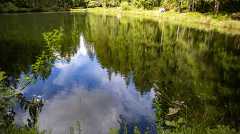 der Sandsee im Nordschwarzwald